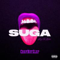 Artwork for Suga (Chopnotslop Remix) by Megan Thee Stallion