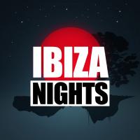 Artwork for Ibiza Nights by Techno House