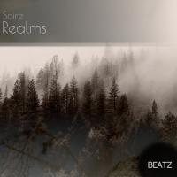 Artwork for Realms by Soire