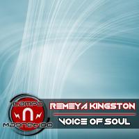Artwork for Voice of Soul by Remeya Kingston