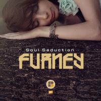 Artwork for Soul Seduction by Furney