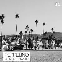 Artwork for Let's Go To Malibu by Peppelino