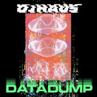 Artwork for Data Dump by DJ Haus