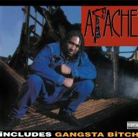 Artwork for Apache Ain't Shit by Apache