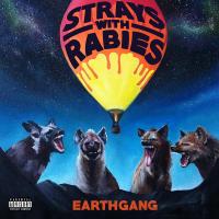 Artwork for Strays with Rabies by EARTHGANG