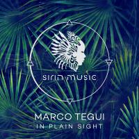 Artwork for In Plain Sight by Marco Tegui