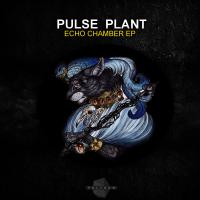 Artwork for Echo Chamber by Pulse Plant