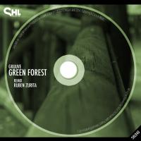 Artwork for Green Forest by Gruuve