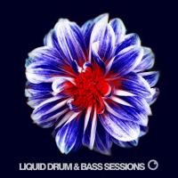 Artwork for Liquid Drum & Bass Sessions 2019 Vol 6 by Various Artists