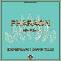 Artwork for Pharaon (Live Version) by Ersin Ersavas