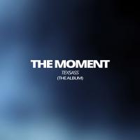 Artwork for The Moment (The Album) by Texsass