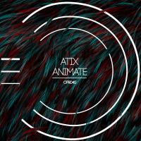 Artwork for Animate by Atix