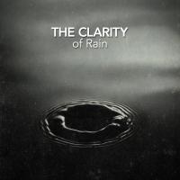 Artwork for The Clarity of Rain by Rain Sounds Nature Collection