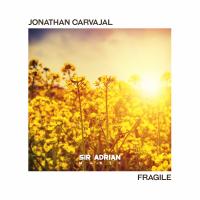 Artwork for Fragile by Jonathan Carvajal