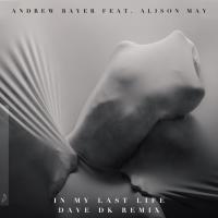 Artwork for In My Last Life (Dave DK Remix) by Andrew Bayer