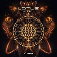 Artwork for Flower of Life by Lotus (BR)