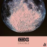 Artwork for Crucible by Enarxis