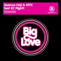 Artwork for Speaker by Seamus Haji