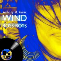 Artwork for Wind (Anthony M. Remix) by Ross Roys