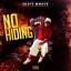 Artwork for No Hiding