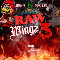 Artwork for Raw Wings 3 by Willie P