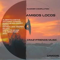 Artwork for Amigos Locos by Various Artists