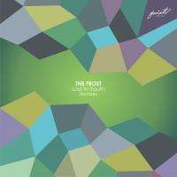 Artwork for Lost In Youth by The Frost