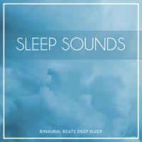 Binaural Beats Deep Sleep