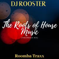 Artwork for Roots of House Music by DJ Rooster