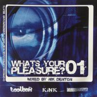 Artwork for What's Your Pleasure? by Nik Denton