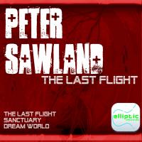 Artwork for The Last Flight by Peter Sawland