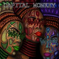 Artwork for WWW. by Capital Monkey