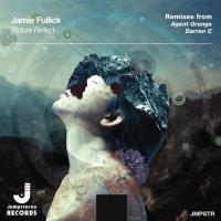 Artwork for Picture Perfect by Jamie Fullick