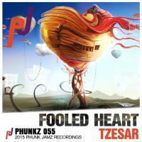 Artwork for Fooled Heart by Tzesar