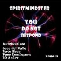 Artwork for You Do Not Respond by SpiritMindster