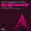 Artwork for Secret Rave