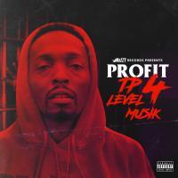 Artwork for TP Level 4 Musik by pROFIT