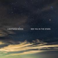 Artwork for See You in the Stars by Lightning Seeds