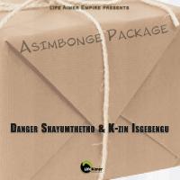 Artwork for Asimbonge Package by Danger Shayumthetho