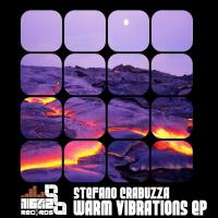 Artwork for Warm Vibrations by Stefano Crabuzza