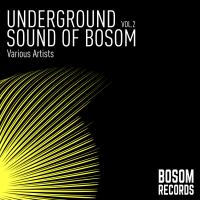 Artwork for Underground Sound Of Bosom, Vol. 2 by Various Artists