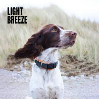 Artwork for Light Breeze by Relaxing Music Therapy