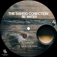 Artwork for Be Water by The Sahoo Conection