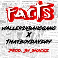 Artwork for Facts (feat. ThatBoyDayDay) by Walle924BangGang