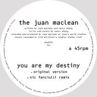 Artwork for You Are My Destiny by The Juan Maclean