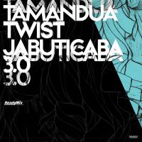 Artwork for Jabuticaba 3.0 by Tamandua Twist