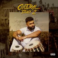 Artwork for Cultural Tings 2 by A.K.