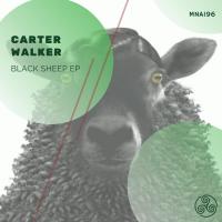 Artwork for Black Sheep EP by Carter Walker