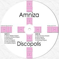 Artwork for Discopolis by Amniza