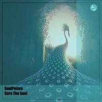 Artwork for Cure The Soul by SoulPoizen